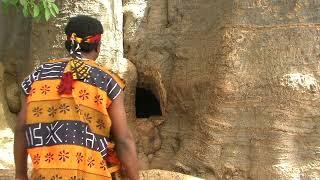 Voyage  Un Baobab Cimetière Short