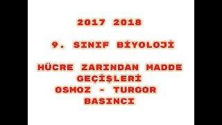 11 9. Sınıf Biyoloji Video 11 HÜCRE ZARINDAN MADDE GEÇİŞLERİ