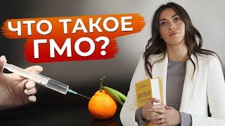 Опасны ли продукты с ГМО?  Всё что нужно знать про генно-модифицированные продукты