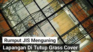 rumput jis menguning area zona barat & lapangan di tutup grass cover jakarta international stadium