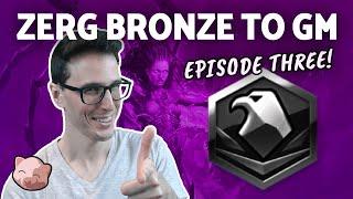 2023 Zerg Bronze to GM #3 Platinum League - Spread Creep & Scout B2GM  StarCraft 2