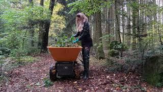 Granate styling walking outdoor garden work in autumn shorts#minidumper thigh high rubber boots