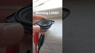 Blowing up JBL go 3 woofer with 300 watts