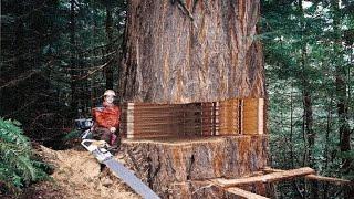 Fastest Big Chainsaw Cutting Tree Machines Skills Incredible Homemade Wood Cutting Machines