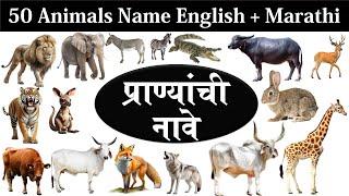 50 Animals name  Animals Name In Marathi  Animals Name In English  Pranyanchi Nave 