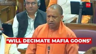 CM Yogi Adityanath blames SP for sheltering Atiq Ahmed says will finish off mafia from state