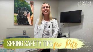 Spring Safety Tips and Hazards with Dr. Kovac