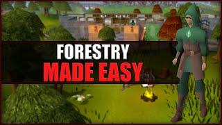 Quick Guide to Forestry in OSRS