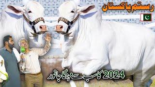 Qurbani 2024  Cow Mandi Lahore  Most Expensive Bull  Cattle Farm 2024  Discover Pakistan