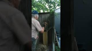 Throwing knives with Whip It technique #shorts#knifethrowing #throwingknifes #throwingknives