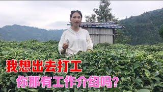 【茶农艳艳】父母不让女孩子出去外面打工你们也因为这个原因吗？我该怎么办？2