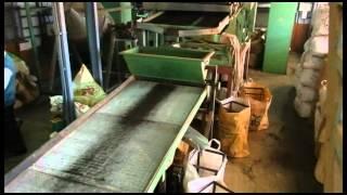 Doddabetta Tea Factory