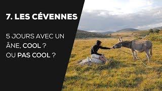 #7 PASSER UNE SEMAINE AVEC UN ÂNE DANS LES CÉVENNES