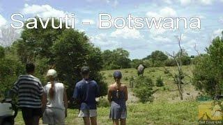 Self Drive Savuti Botswana