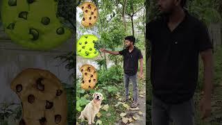 spining biskit to dag& cow to horse & cat# short feedVFX video # viral   #ternding