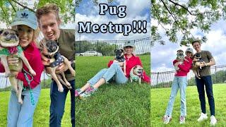 We went to a Pug Meetup Saturday Couples Vlog #married #marriage #dog #doglover