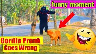 fake gorilla vs dog  fake gorilla prank 