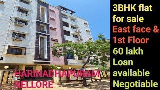 3BHK East face & 1st floor flat for resale at 60 lakh at Harinadhapuram in NelloreHR Properties.