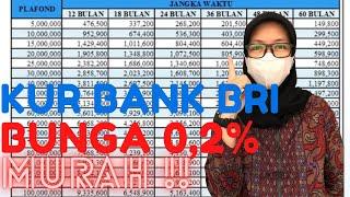 CARA MENGAJUKAN PINJAMAN KUR DI BANK BRI 2021