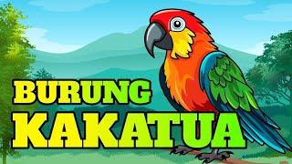 BURUNG KAKATUA  Lagu anak-anak Lagu anak indonesia balita