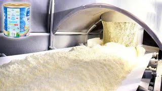 How Milk Powder is Made  Modern Milk Powder Processing Plant  Food Factory 