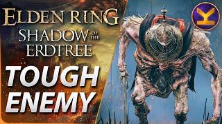 Elden Ring DLC - Tough Enemy - Troll Knight - Castle Ensis Gravesite Plain - Shadow of the Erdtree