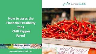 How to assess the Financial Feasibility for a Chili Pepper Farm