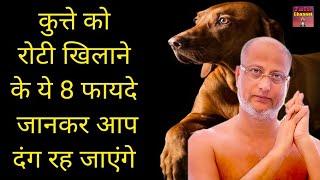 कुत्ते को रोटी खिलाने के 8 फायदे  जानकर आप दांग रह जायंगे  latest pravachan  Muni Maharaj ji 