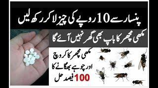 How To Get Rid Of Flies In The House  Mosquito Killer  Makhi Machar Bhagane Ka Tarika