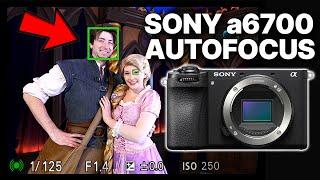 Is the Sony a6700 AI Autofocus any GOOD?  Jason Vong Clips