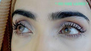 HOW TO GROW EYELASHES & EYEBROWS FAST Guaranteed LONGER THICKER & FULLER LASHESBROWS  Immy