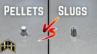 Pellets VS Slugs  Which One Is For You?