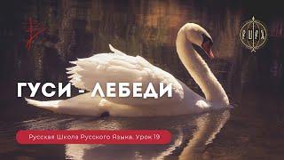 Урок 19. Гуси - Лебеди - Русская Школа Русского Языка. Виталий Сундаков