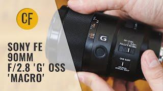 Sony FE 90mm f2.8 Macro G OSS lens review with samples Full-frame & APS-C