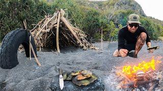 3 DAYS solo survival NO FOOD NO WATER NO SHELTER on an island with only a POCKET KNIFE