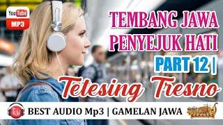 Tembang Jawa Penyejuk Hati Part 12  Tetesing Tresno  Best Audio Mp3  Javanesse Music Traditional