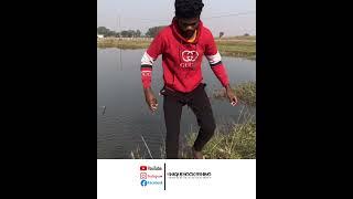 Professional Fisherman Catching Rohu fishes #hook_fishing #reels #catfish #fish_video #shorts #video