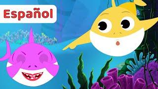 Tiburon Bebe Peekaboo  Canciones Infantiles  Peek-A-Boo Baby Shark