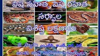 Identification of Poisonous and Non Poisonous Snakes విష సహిత మరియు విష రహిత సర్పాల గుర్తింపు