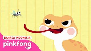 Cicak Cicak di Dinding  Bahasa dan Versi Inggris  Lagu Anak Indonesia  Pinkfong