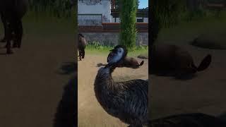 Emu goes brrrrrr Planet Zoo #short