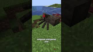 Minecraftta Örümceklerin HİÇ Bilinmeyen Hikayesi #shorts #minecraft #short #shortsvideo #tiktok