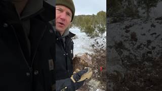 Accessing Alien Structures Hiding Underground at Mt Wilson Ranch