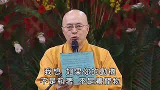 很多师兄都不要养宠物，因为怕下辈子会影响他投胎做畜生道。#海涛法师 #佛学问答