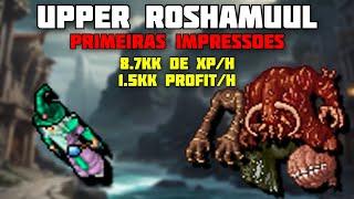 TIBIA  UPPER ROSHAMUUL BUFFADA - RP 940 PRIMEIRAS IMPRESSÕES