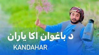 Ep120  Menafal Show  Kandahar city  د باغوان اکا یاران  شاه ولیکوټ ولسوالۍ  کندهار ښار #viral