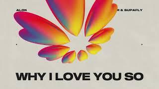 Alok James Hurr & Supafly - Why I Love You So Official Visualizer