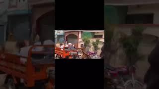 Angry cow Attack Eid ul Adha Animal 2021  Cow Tiktok  Cow Lover  Qurbani Eid Janwar 