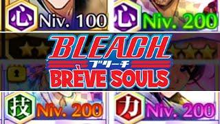 BRÈVE SOULS #2  POURQUOI LES NIVEAUX ONT PLUSIEURS COULEURS ?  Bleach Brave Souls