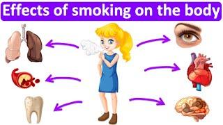 What are the effects of smoking on the body?   Easy Science lesson